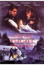 Angel Flight Down DVD-Cover
