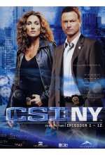 CSI: NY - Season 2/Box-Set 1  [3 DVDs] DVD-Cover