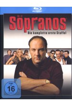 Die Sopranos - Staffel 1  [5 BRs] Blu-ray-Cover