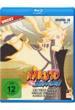 Naruto Shippuden - Staffel 15 - Box 1 - Uncut  [2 BRs]<br> Blu-ray-Cover