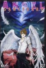 Angel Sanctuary DVD-Cover