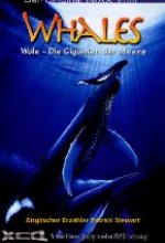 Whales - Wale/Die Giganten der Meere IMAX DVD-Cover