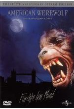 American Werewolf DVD-Cover