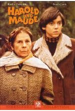 Harold und Maude DVD-Cover