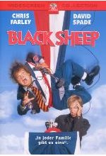 Black Sheep DVD-Cover
