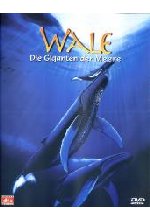 Wale - Giganten der Meere IMAX DVD-Cover