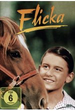 Flicka DVD-Cover
