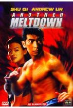 Another Meltdown DVD-Cover