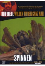 Killer Instinct - Spinnen DVD-Cover