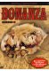 Bonanza - Season 2  [4 DVDs] kaufen