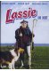 Lassie in Not kaufen