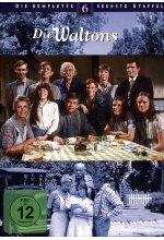 Die Waltons - Staffel 6  [7 DVDs] DVD-Cover