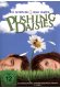 Pushing Daisies - Staffel 1  [3 DVDs] kaufen