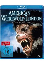 American Werewolf in London Blu-ray-Cover