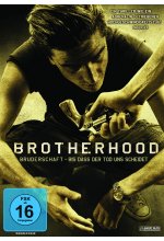 Brotherhood - Steelbook DVD-Cover