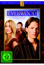 Everwood - 3. Staffel  [5 DVDs] DVD-Cover