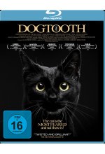 Dogtooth Blu-ray-Cover