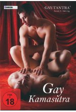 Gay-Tantra - Gay Kamasutra DVD-Cover