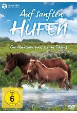 Auf sanften Hufen - Die Abenteuer eines treuen Fohlens DVD-Cover