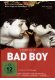 Story of a Bad Boy kaufen