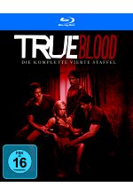 True Blood - Staffel 4  [5 BRs] (+ DVD) Blu-ray-Cover