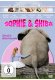 Sophie & Shiba kaufen