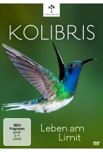 Kolibris - Leben am Limit DVD-Cover