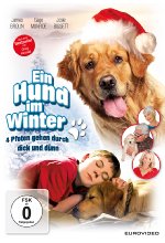 Ein Hund im Winter DVD-Cover