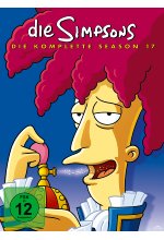 Die Simpsons - Season 17  [CE] [4 DVDs] DVD-Cover