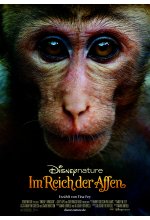 Im Reich der Affen DVD-Cover