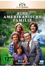 Eine amerikanische Familie - Box 1/Folgen 1-14  [4 DVDs] DVD-Cover