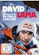 David Lama - Grenzgänger in Fels und Eis kaufen
