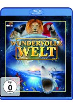 Wundervolle Welt Blu-ray-Cover