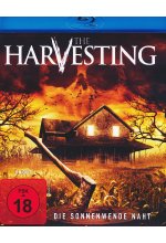 The Harvesting - Die Sonnenwende naht - Uncut Blu-ray-Cover