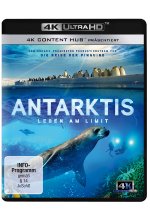 Antarktis - Leben am Limit  (4K Ultra HD) Cover