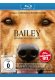 Bailey - Ein Freund fürs Leben kaufen