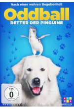 Oddball - Retter der Pinguine DVD-Cover