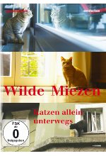 Wilde Miezen - Katzen allein unterwegs DVD-Cover