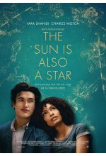 The Sun is also a Star DVD-Cover