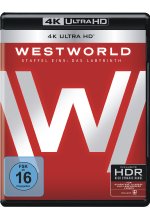 Westworld - Die komplette 1. Staffel  (3 Blu-rays 4K Ultra HD) (+ 3 Blu-rays 2D) Cover