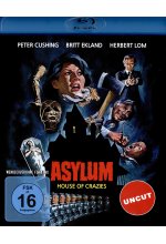 Asylum - Irrgarten des Schreckens - Uncut Blu-ray-Cover