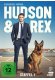 Hudson und Rex - Die komplette 1. Staffel (Fernsehjuwelen)  [4 DVDs] kaufen