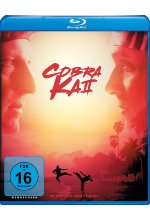 Cobra Kai - Staffel 2  [2 BRs] Blu-ray-Cover