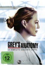 Grey's Anatomy - Staffel 17  [5 DVDs] DVD-Cover