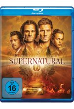 Supernatural: Staffel 15  [4 BRs] Blu-ray-Cover