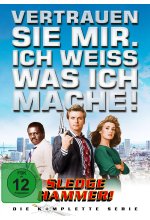 Sledge Hammer - Die komplette Serie  [6 DVDs] DVD-Cover