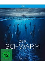 Der Schwarm - Teil 1-4 (Fernsehjuwelen) Blu-ray-Cover