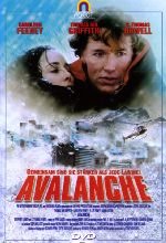 Avalanche DVD-Cover